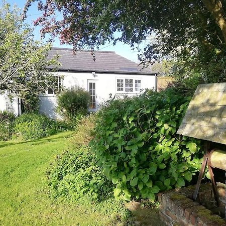 Cozy Country Cottage With Beautiful Rural Views New Quay Eksteriør billede