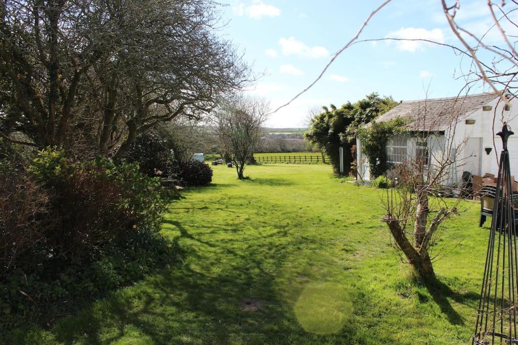 Cozy Country Cottage With Beautiful Rural Views New Quay Eksteriør billede