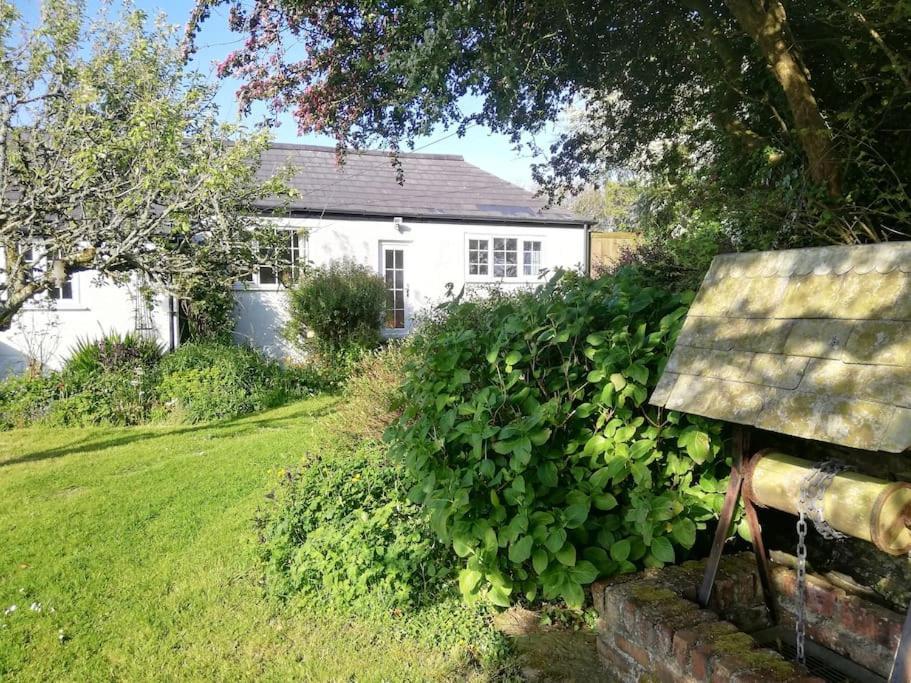 Cozy Country Cottage With Beautiful Rural Views New Quay Eksteriør billede